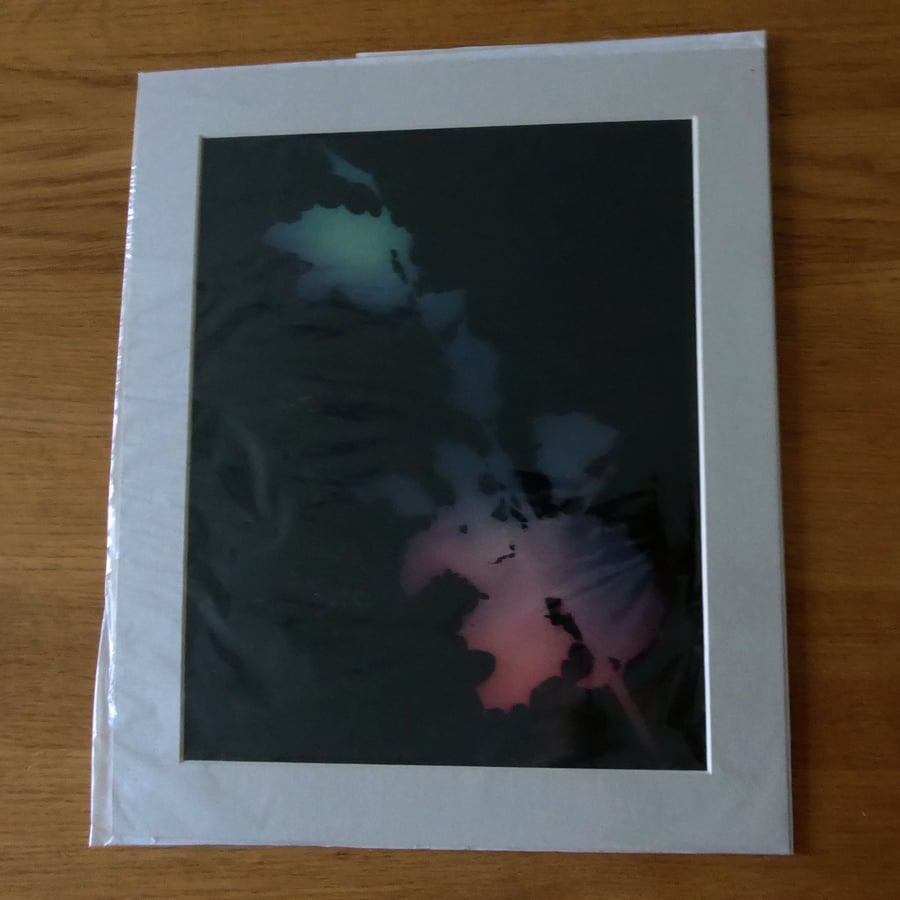 Holly II Print from Original Photogram - Beige mount to fit 10x12 inch frame 