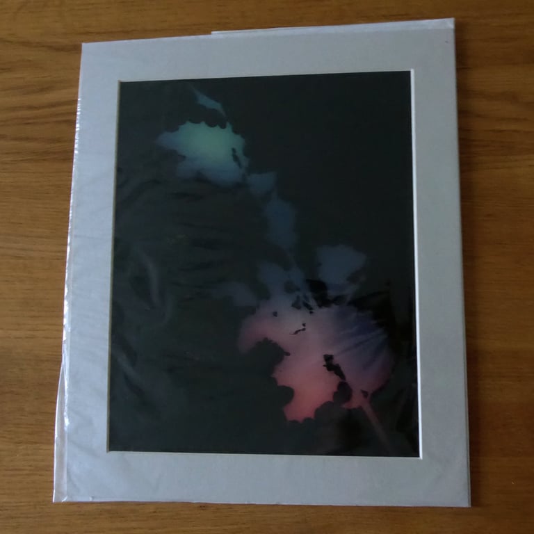 Holly II Print from Original Photogram - Beige mount to fit 10x12 inch frame 