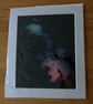 Holly II Print from Original Photogram - Beige mount to fit 10x12 inch frame 