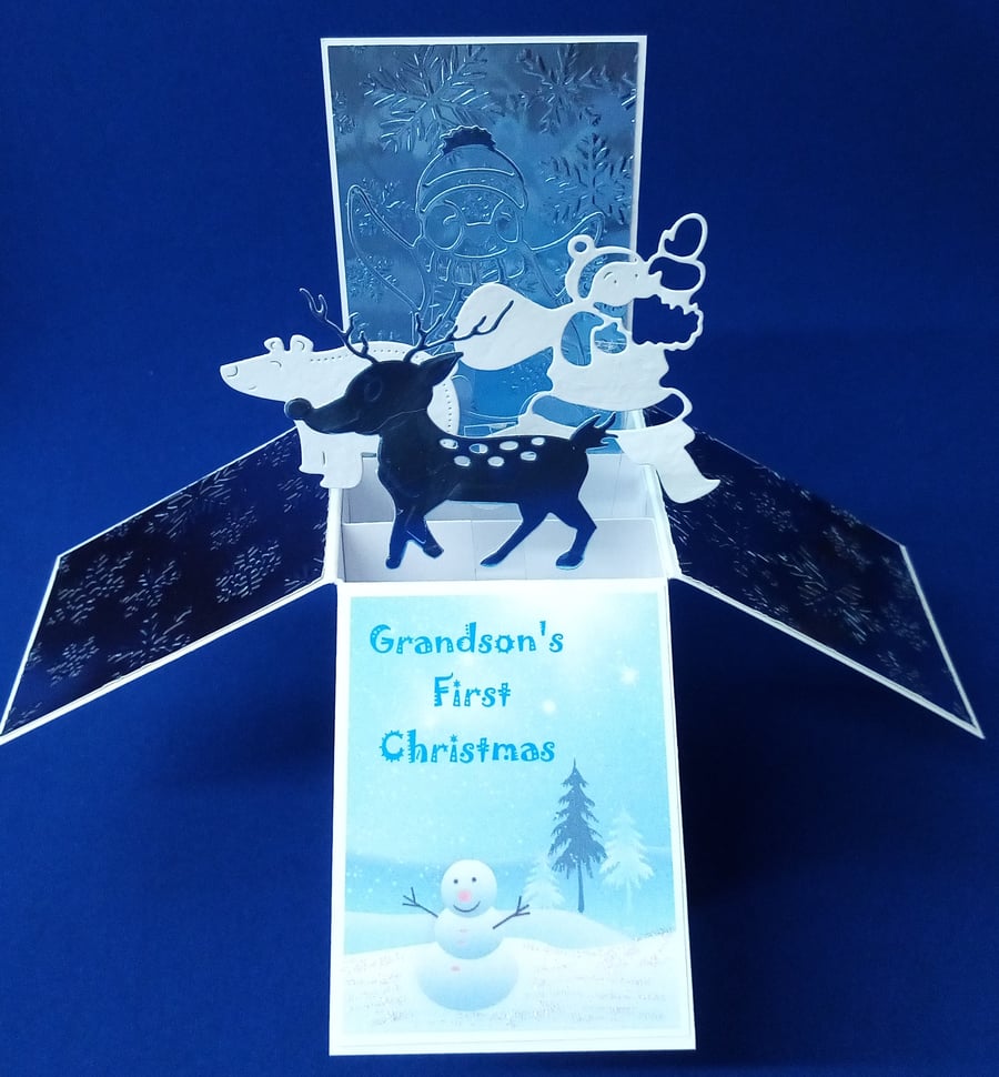 Grandson's 1st Christmas Card