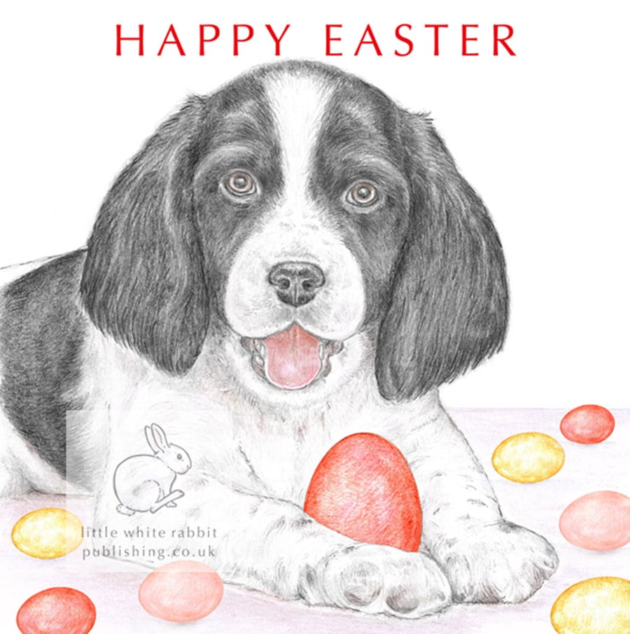 Sally the Springer Spaniel - Easter Card