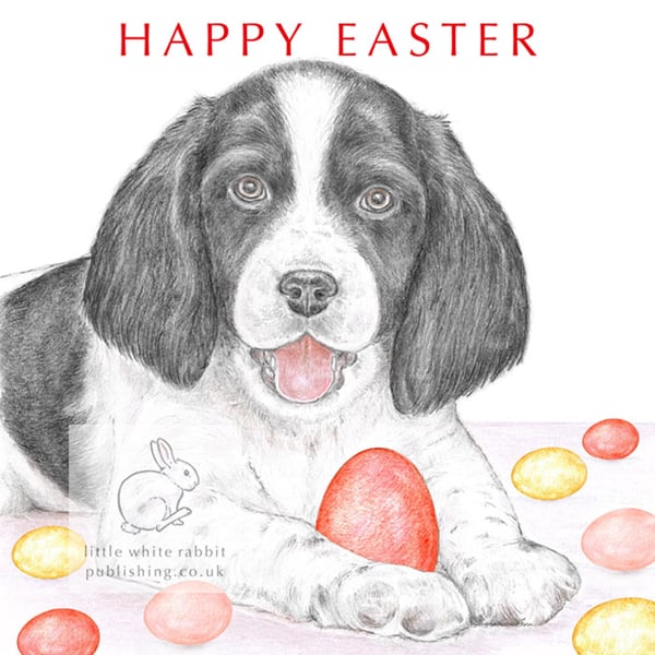 Sally the Springer Spaniel - Easter Card