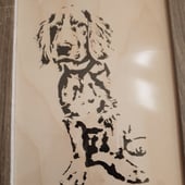 Wdnpuzzles