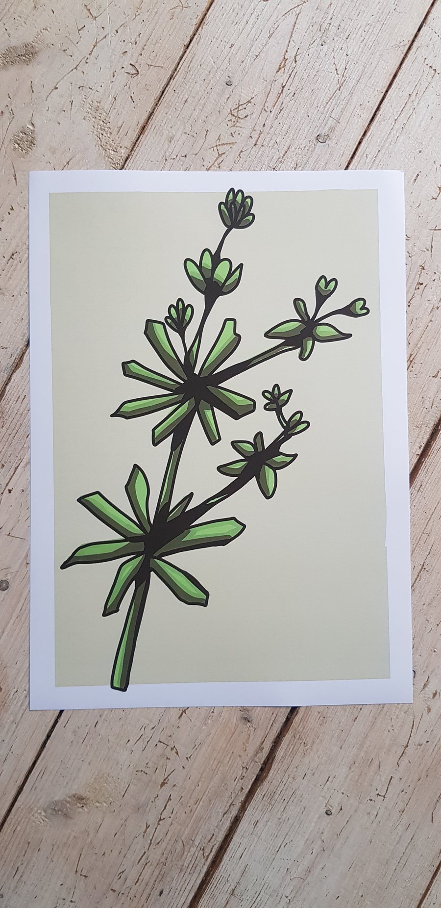 A4 digital print - Cleavers