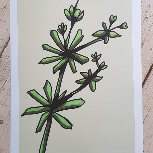 A4 digital print - Cleavers