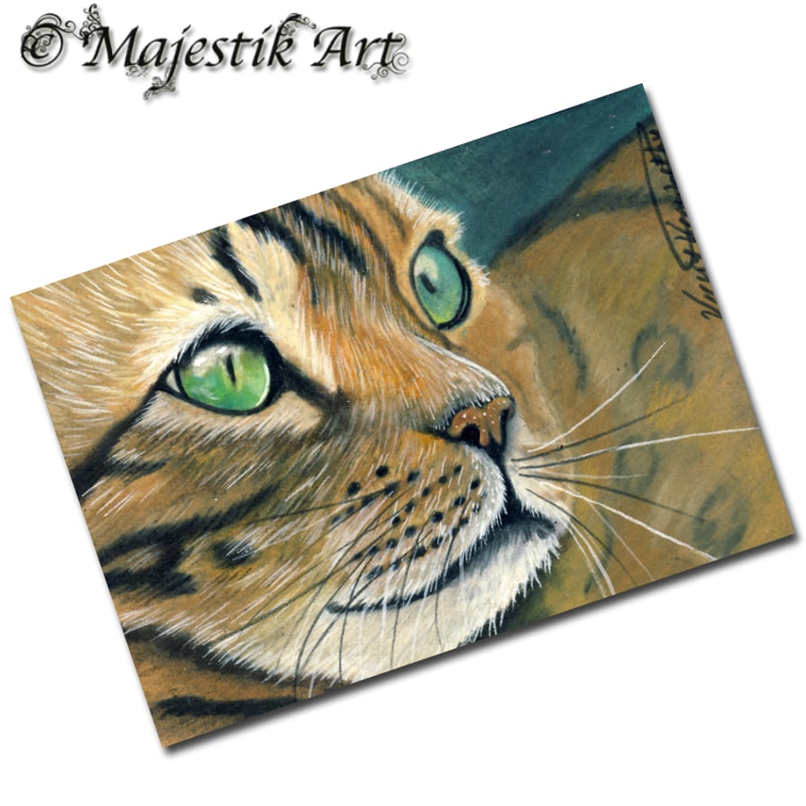Archival ACEO Cat Print 'Bengal' By V Kenworthy
