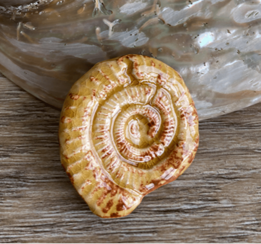 Ammonite  Reproduction Brooch