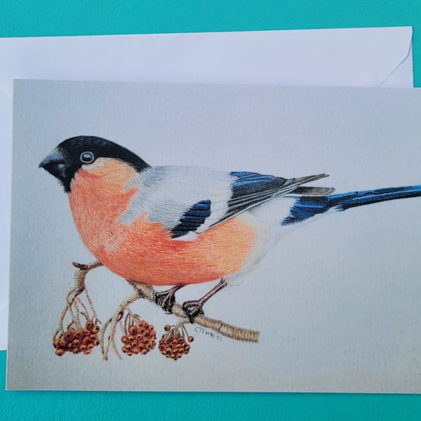 A vibrant bullfinch card. This card makes a perfect blank greetings cards.