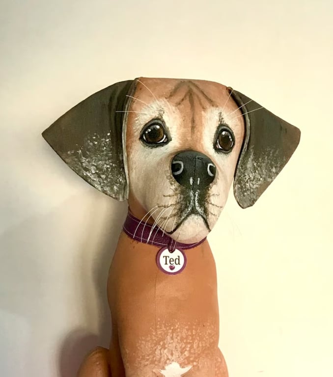Fully personalised Rhodesian Ridgeback 