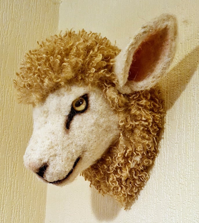 Lifesize  needle felted  and hand stitched faux sheep head 