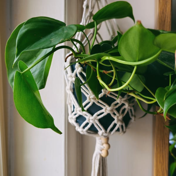 Handmade Macrame Plant Hanger - White 