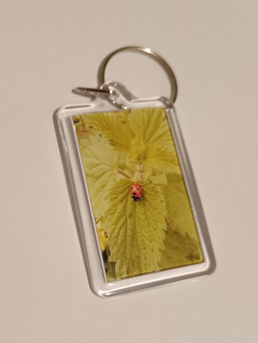 Ladybird photography keyring