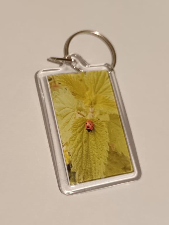 Ladybird photography keyring