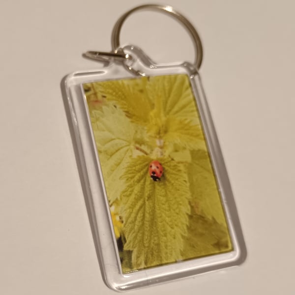 Ladybird photography keyring