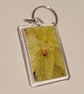 Ladybird photography keyring
