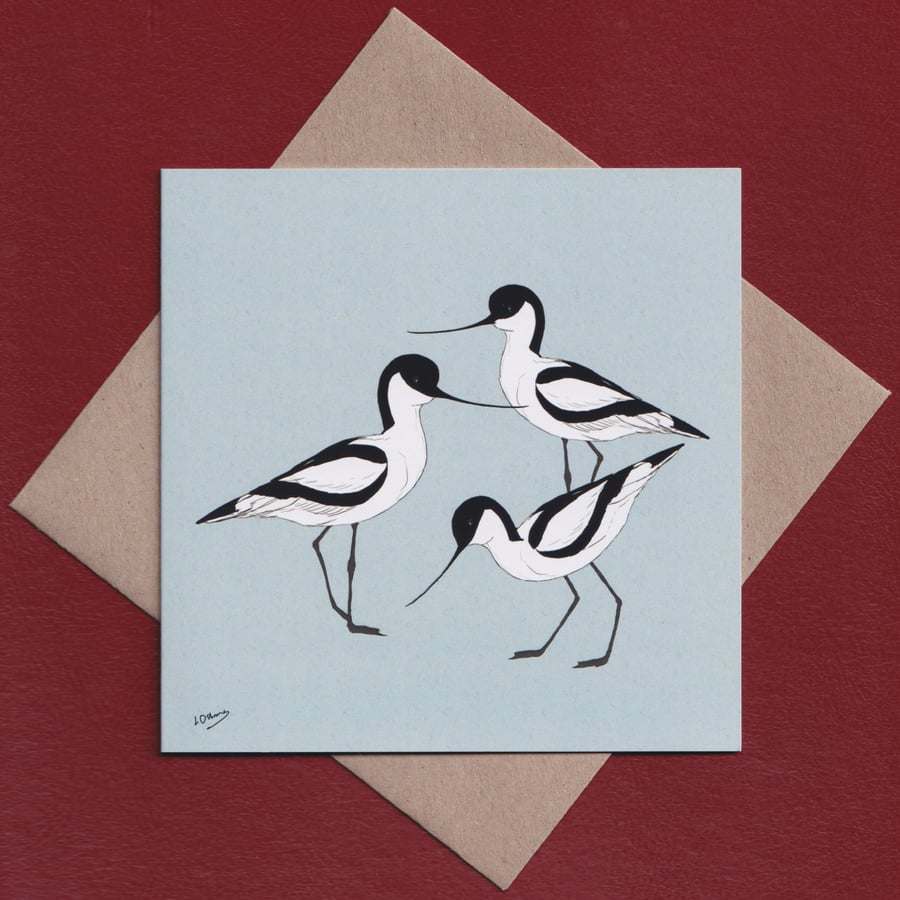 Avocets greetings card - bird card