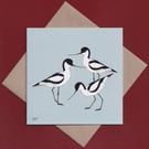 Avocets greetings card - bird card