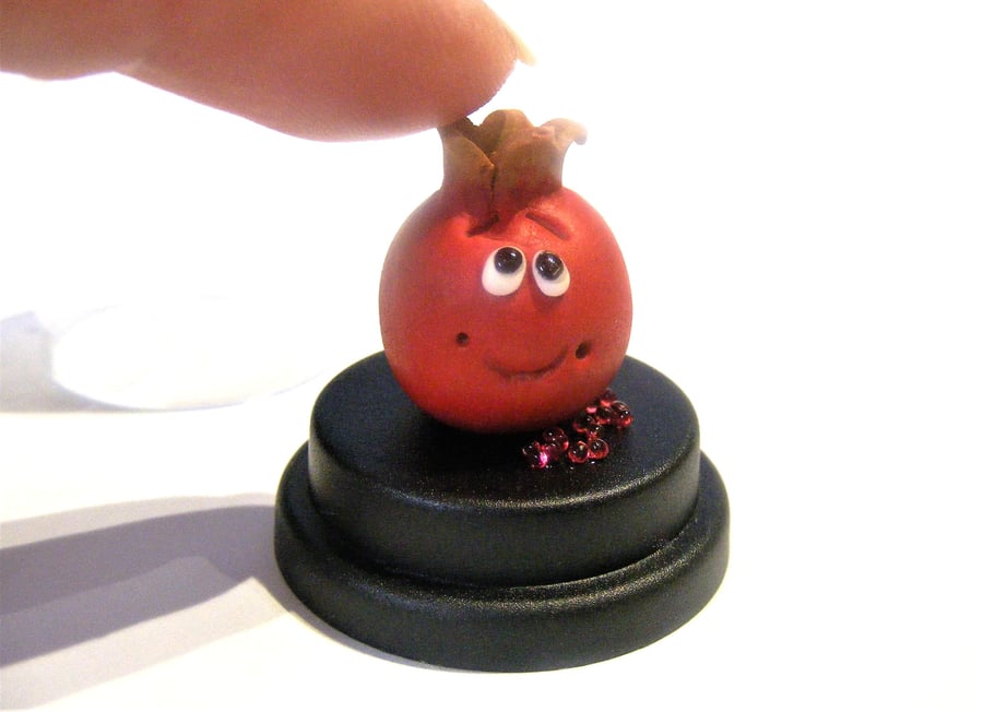 Pet Pomegranate, Good Luck Gift, Fertility gift, Gift for her Vegan, Vegetarian