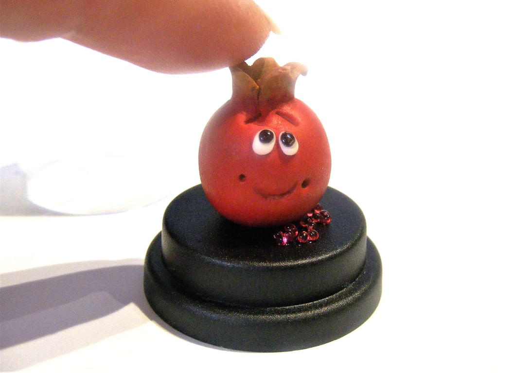 Pet Pomegranate, Good Luck Gift, Fertility gift, Gift for her Vegan, Vegetarian