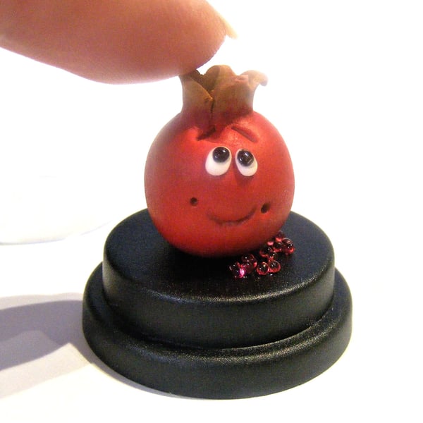 Pet Pomegranate, Good Luck Gift, Fertility gift, Gift for her Vegan, Vegetarian