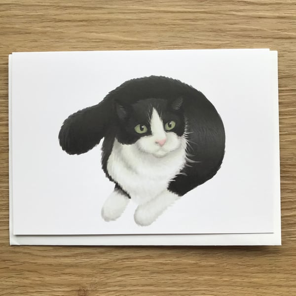 Black and White Cat Blank Greeting Card