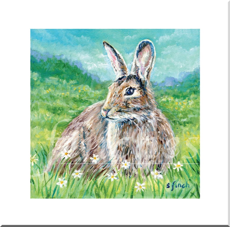 Spirit of Rabbit Card with Totem Spirit message on the reverse