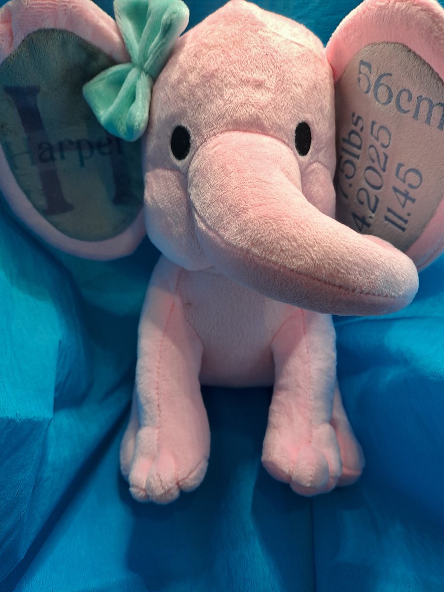 Personalised elephant teddy 