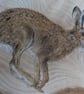 Hare Painting on Reclaimed Wood - Image 2