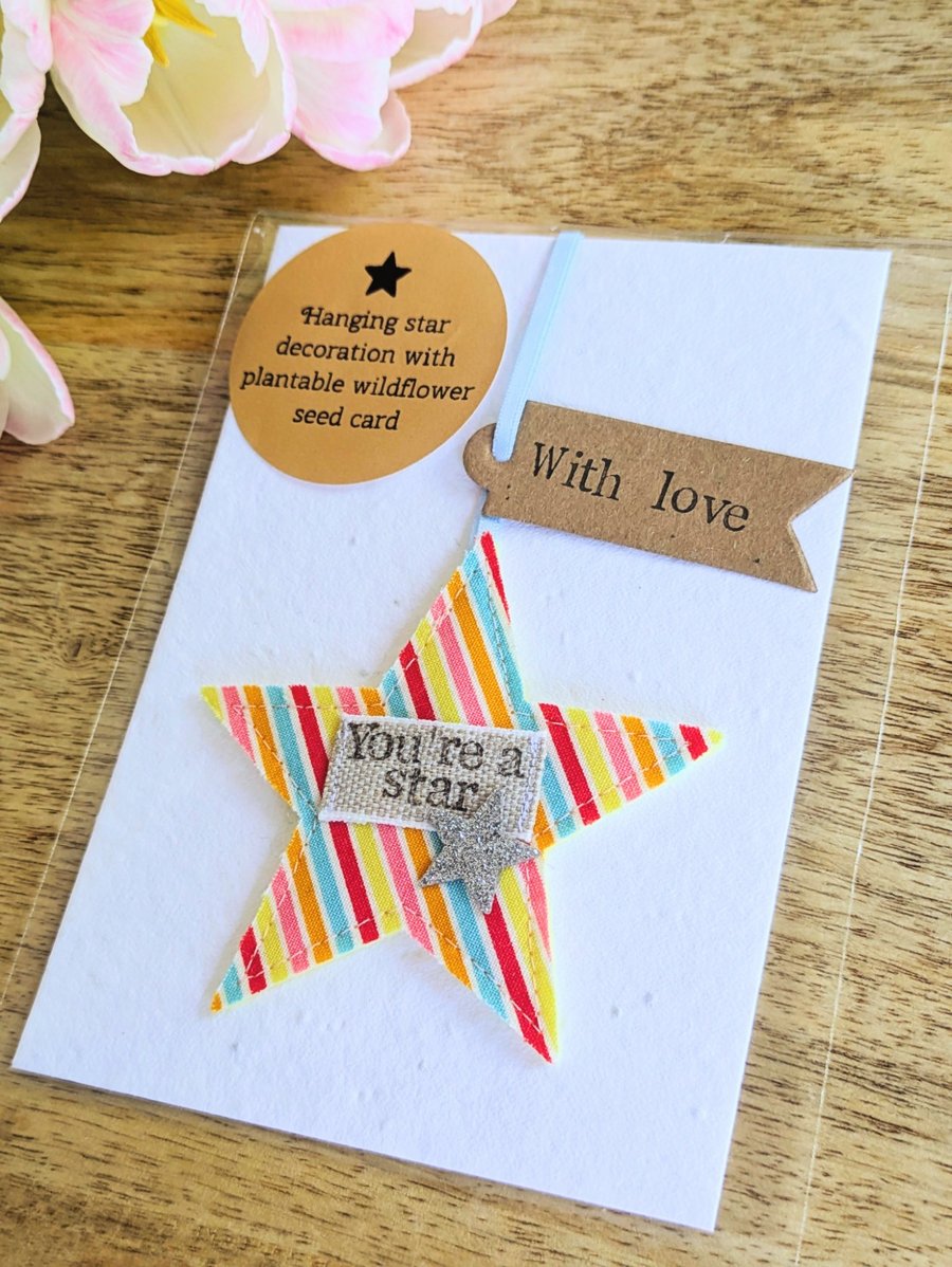 You're a Star Hanging Star Decoration with Plantable Wildflower Seed Card