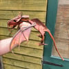 Leather Hand puppet