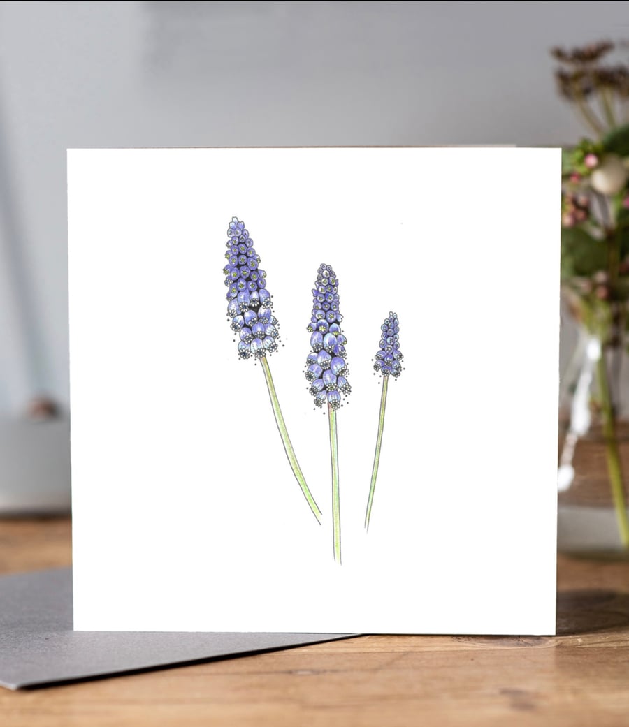 Muscari Flowers Greeting card 