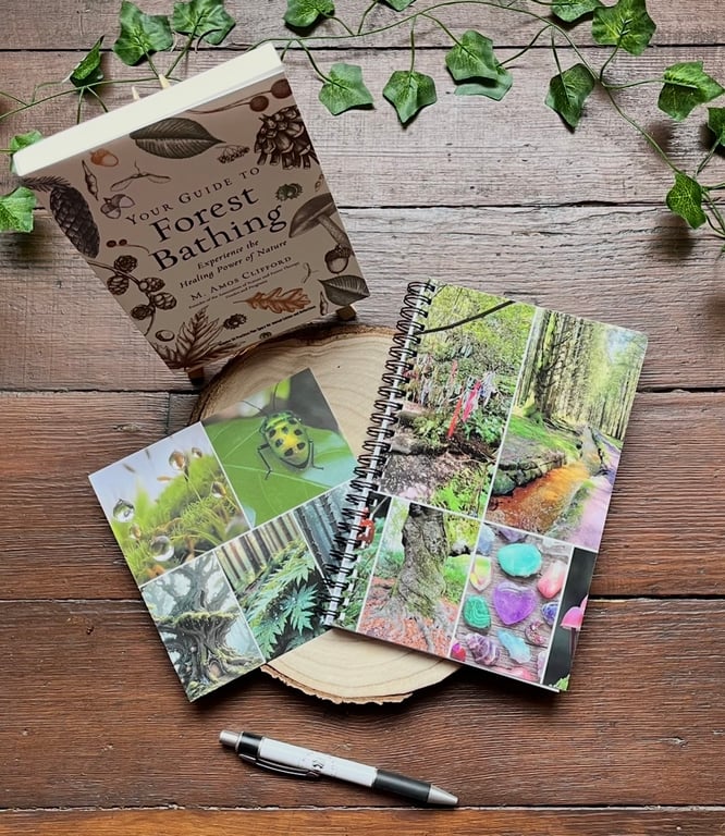 Nature book bundle, Forest bathing, nature therapy, notebook 
