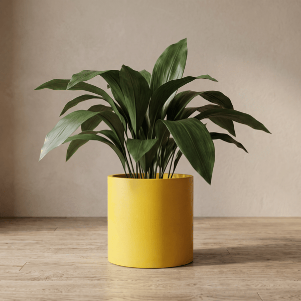 Extra Large 23 cm Sunshine Yellow Statement Plant Pot Indoor Planter