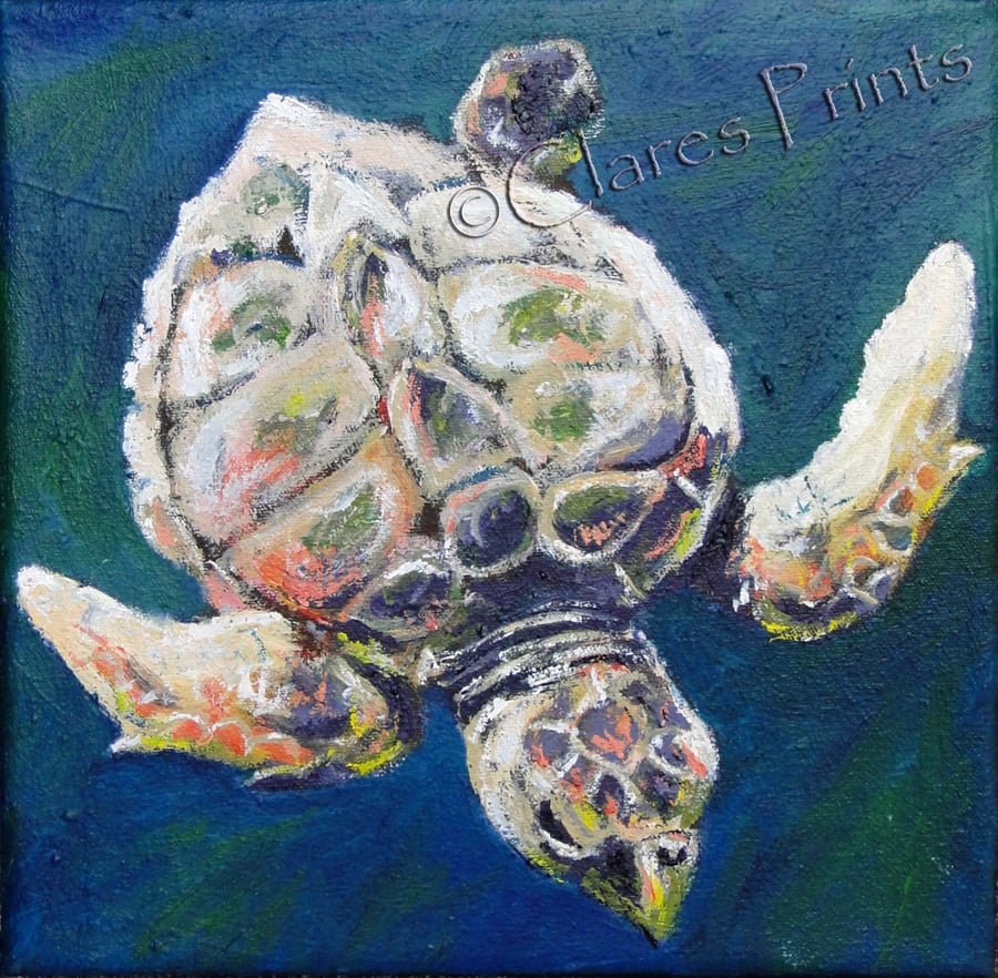 Animal Art Loggerhead Sea Turtle Original Oil Painting on Canvas OOAK