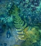 Green Fern End Cyanotype Bracelet - Image 2