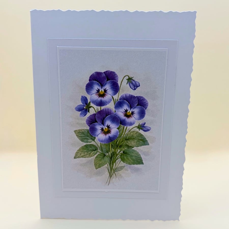 Violet Birth Flower A6 Card set of 4 - Botanical Blank Greeting Cards