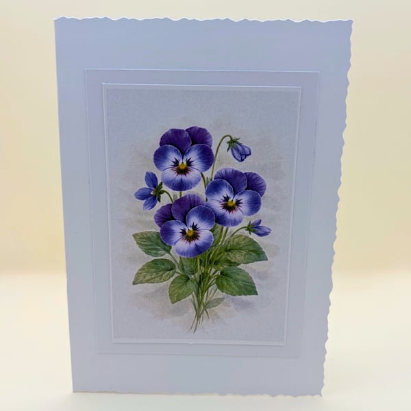 Violet Birth Flower A6 Card set of 4 - Botanical Blank Greeting Cards