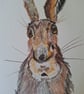 Goofy rabbit  - Image 2