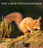 Red Squirrel print (Limited edition of 10)