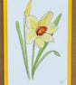 Blank greeting card, daffodil, hand painted original artwork.  - Image 4