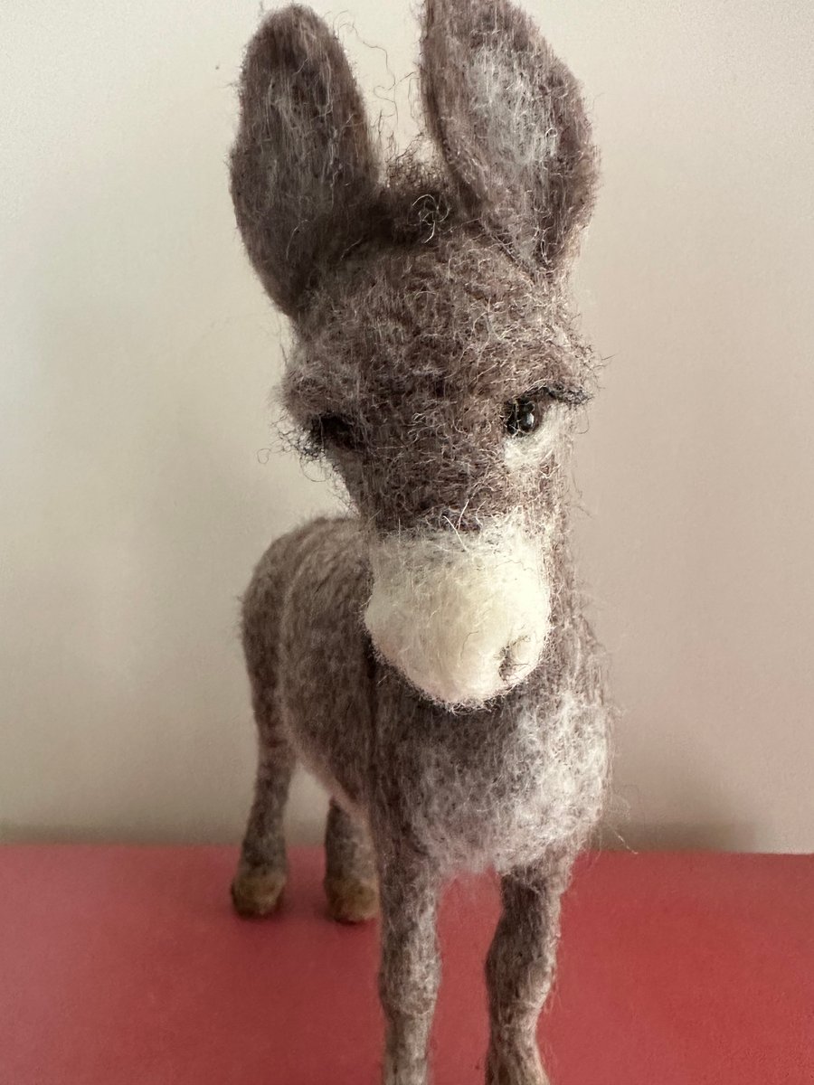 Little Grey Donkey 
