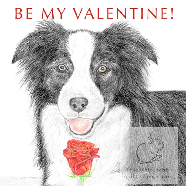 Ivy the Border Collie -  Valentine Card