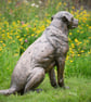 Sitting Crossbreed Dog Statue Large Bronze Resin Garden Sculpture - Image 5