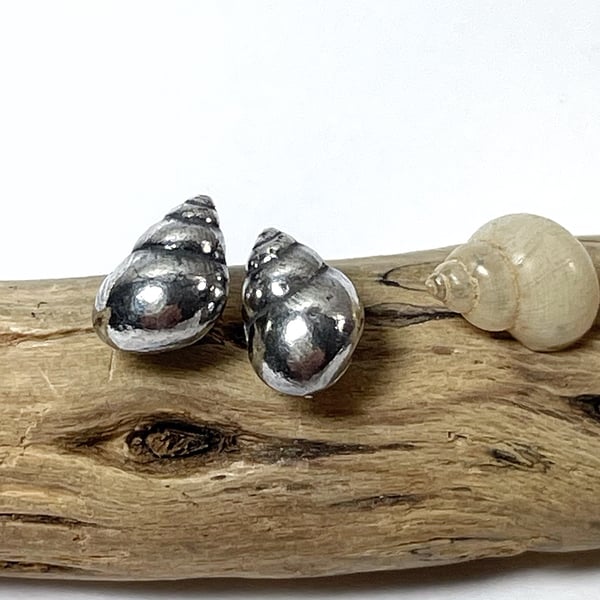 Silver shell stud earrings, small studs