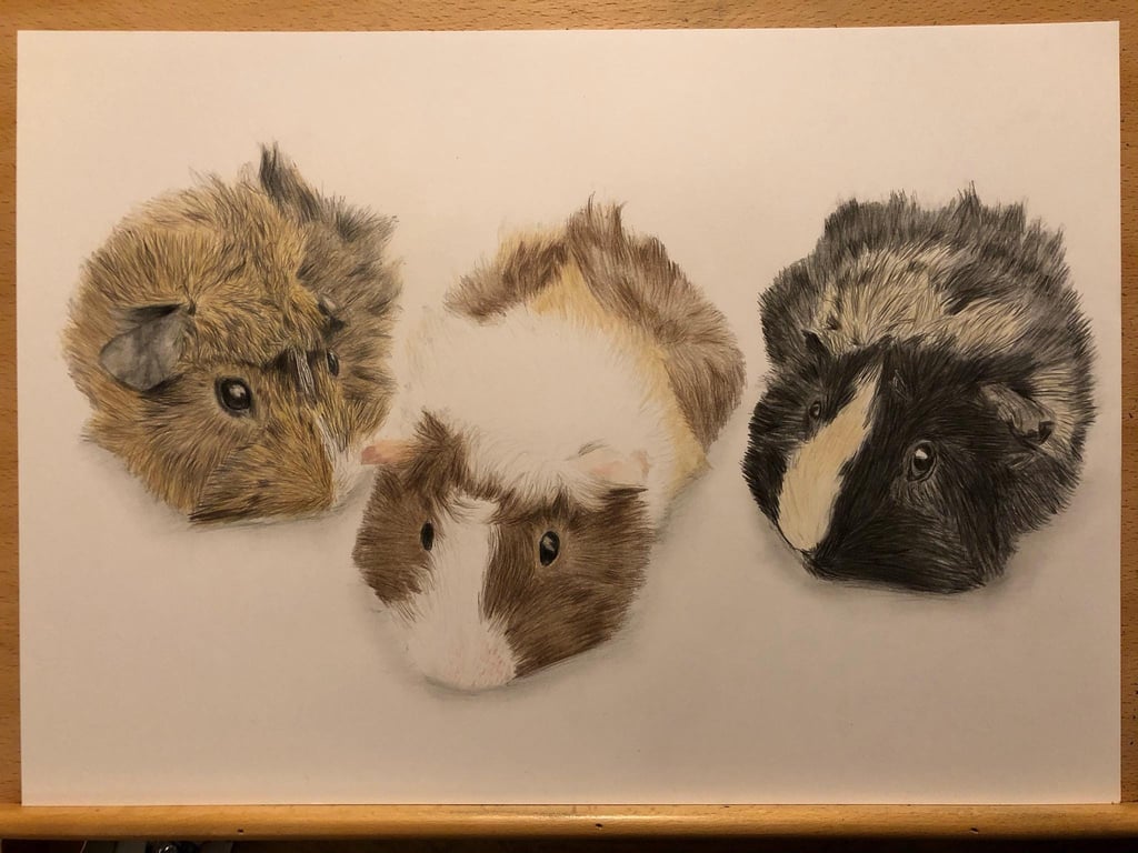 A3 Custom pet portrait for three pets made with coloured pencil