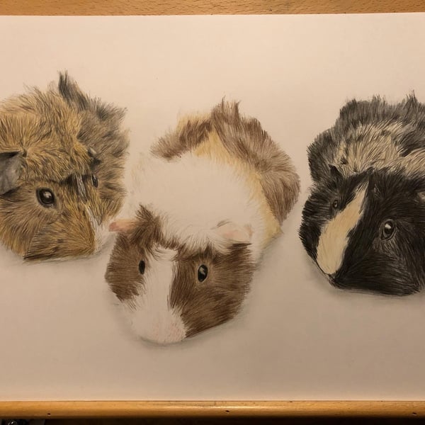 A3 Custom pet portrait for three pets made with coloured pencil