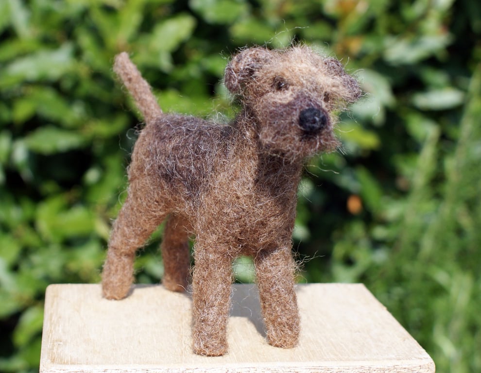 Needle felting  Border Terrier dog kit ideal for a more experienced felter