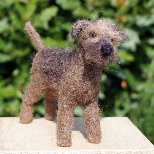 Needle felt Border Terrier dog kit ideal for a more experienced felter