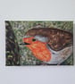 Robin on a branch looking at you, original painting on canvass 