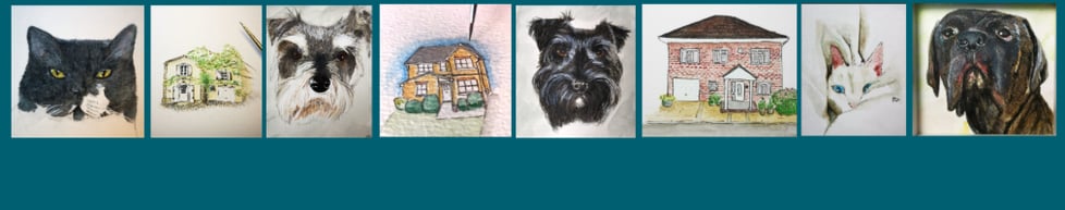 Blue's Little Places & Furry Faces